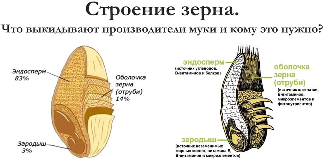 Мука пшеничная. Как выбирать. Что важно знать