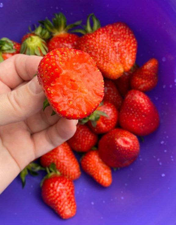 Вкусовые сочетания. С чем сочетается клубника?